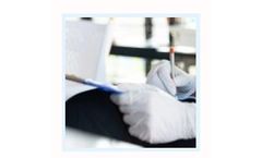 IEH - Crisis Prevention Consulting Services