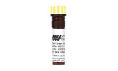 Nippon MIDORI Green Xtra - Model MG10 - Safe DNA/RNA Electrophoresis Stain