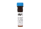 Nippon MIDORI Green Easy - Model MG12 - Safe DNA/RNA Electrophoresis Stain