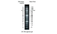 Nippon FastGene - Model MWD50 - 50 bp DNA Marker