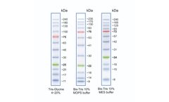 Nippon BlueStar Plus - Model MWP04 - Prestained Protein Marker