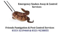 Emergency Services for - Snakes Away & Control in Karachi