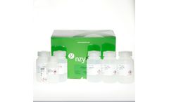 NZYMaxiprep - Model MB14201 - Plasmid DNA Purification Kit - No Columns