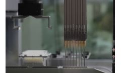 NZYTech - Model HS005 - High-Throughput Gene Synthesis