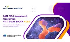 Stem Cell Therapy Development Services