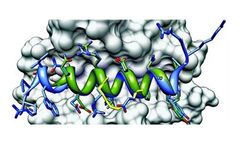 Constrained Peptide Library Construction Services