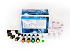 PowerChek - Model CE-IVD - Respiratory Virus Real-time PCR Kit