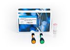 PowerChek - Model GMO - Screening Real-Time PCR Kit