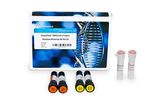 PowerChek - Model 3.0 - SARS-CoV-2 S-gene Mutation Detection Kit