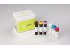 PANA RealTyper - Model HPV - Infectious Diseases Kit
