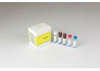 PANA RealTyper - Model HPV - HPV Screening Kit