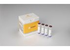 PNAClamp - Model IDH1 - Mutation Detection Kit