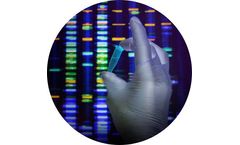 Research and Development Services