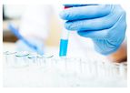 Protein Analysis Services