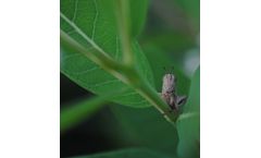 Ecosystem Restoration Services