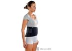 BraceID - Contoured Back Support