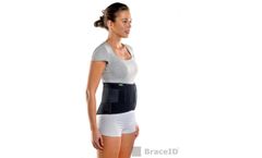 BraceID - Contoured Back Support
