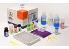 Pishtaz - Model PT-Rub.G-96 - Rubella IgG Elisa Kit