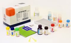 Pishtaz - Model PT-AFP-96 - Tumor Marker Elisa Kit