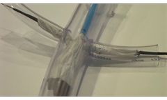 Aortorenal Stent Graft Prototype - Video