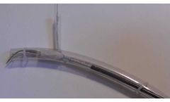 Red Vascular Endograft Deployment in Model Aorta and Branch Artery - Video