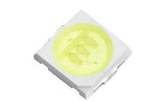 Home-Run - White & Color LED