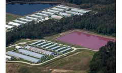 Waste management solutions for animal waste industry