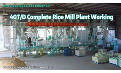 40T/D Rice Mill Plant in Action | Top-Quality Rice Processing Machines by Co-Grain Machinery