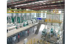 Co-Grain - Model Turnkey 200T/D Rice Mill Factory - Turnkey 200T/D Rice Mill Factory