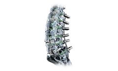 Biedermann - Model MOSS - Fenestrated Screw