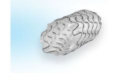 Allium - Bus-Bulbar Stents