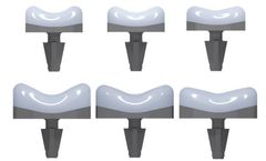 BioPoly - Partial Resurfacing Trochlea Implant
