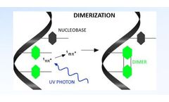 Using UV-C Light for Personal Airborne Pathogen Protection