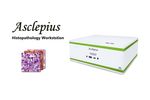 Asclepius - Histopathology Workstation - Video