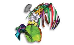 Model OOOPDS - 2D / 3D Professional Imaging Processing System