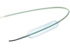 Gallant - Semi Compliant PTCA Dilatation Catheter