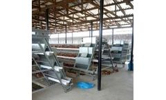 Demeter - Model 90 - Layer Chicken Cage