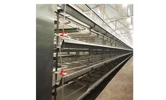 Demeter - Model H Type - Broiler Chicken Cage
