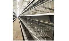 Demeter - Model H Type - Pullet Cage