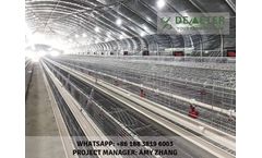 Chicken cage system