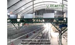 Chicken Cage Equipment