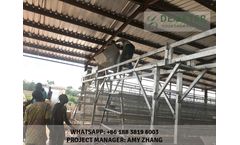Poultry Cage System Layer Chicken Cage