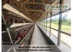 Affordable chicken cages in kenya