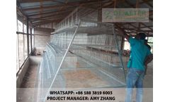 Demeter - Chicken Layer Cages