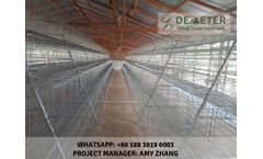 Demeter - Layer Chicken Cage System