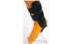 Hegeli - Model ARA103 - Special Ankle Support