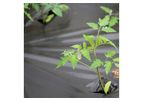 Unik Ecovio - Model M2351 - Compostable Mulch Films