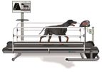 Zebris CanidGait - Treadmill System