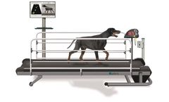Zebris CanidGait - Treadmill System