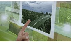 Water trends in agricultural irrigation for 2024: sustainability through digitalization